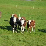 Bauernhof Unterhofner
