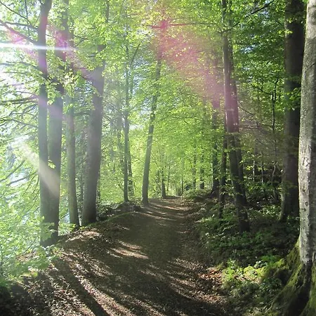 Bauernhof Unterhoefner *