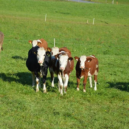 Bauernhof Unterhoefner
